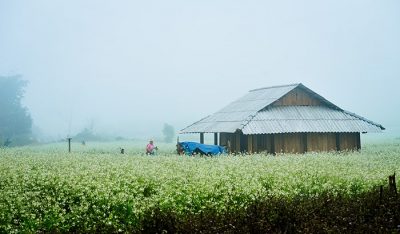 Địa điểm ăn uống vui chơi tham quan du lịch khách sạn nhà nghỉ phương tiện đi lại Sơn La